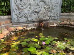 -深圳龙潭公园