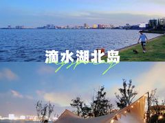 -春花秋色城市公园