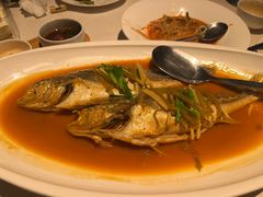 -三利音·玖弄小鲜(浦东嘉里城店)