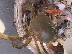 -嵊泗基湖沙滩