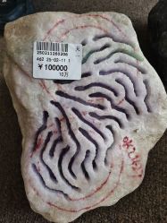 -德龙国际珠宝城