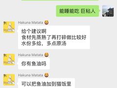 -山宅一喵德文卷毛猫舍