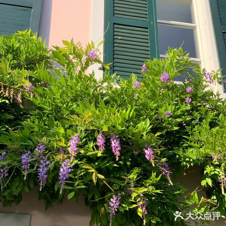 巴塞尔（又称为巴泽尔，德：Basel，法：B氀攀