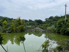 -张坝桂圆林公园