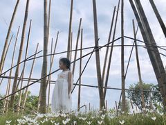 -白鹭湾湿地公园