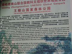 -王顺山国家森林公园