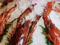 -福玺荟(外滩罗斯福店)