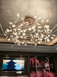 -香榭丽舍·生物护肤·问题肌护理中心