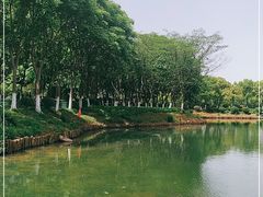 -金银湖国家城市湿地公园