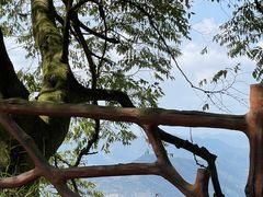 -广州市石门国家森林公园