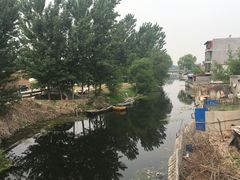 -白洋淀景区