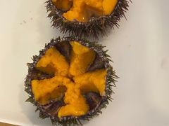 马粪海胆-海胆小馆(东北水饺·春柳店)