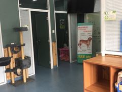 -瑞派长江宠物医院·猫科·外科·24小时夜护(谊城公寓分院)