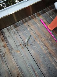 -钓虾工场·钓虾·赶海(回龙观店)