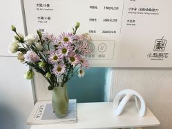 -小梨·OndaPro·专业脱毛连锁机构