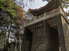 -青龙山国家森林公园