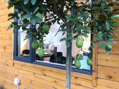 -禧宴Joyous Restaurant(禧园店)