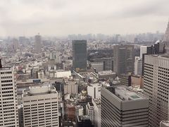 -东京都厅舍