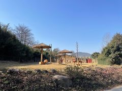-杭州野生动物世界