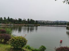 -枫香湖儿童公园