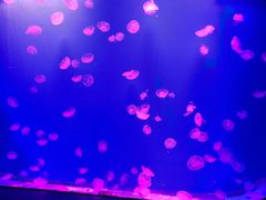 -福州罗源湾海洋世界旅游区