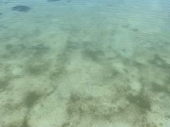-查汶海滩