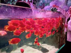 -常州海昌海洋探索馆