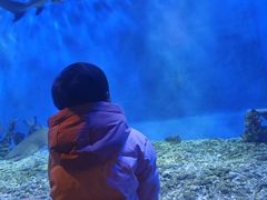 -太平洋海底世界