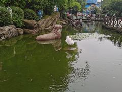 -海合安武汉极地海洋公园