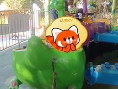 -美的鹭湖探索王国