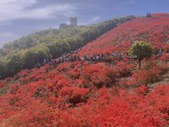 -瑞安圣井山景区