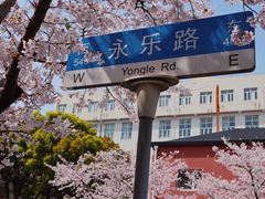 -永乐路-路侧停车场