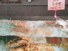-九號渔港·蒸汽海鲜·粤菜茶点(八卦岭店)
