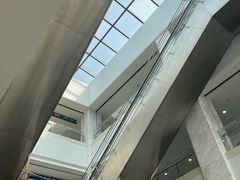 -上海市第六人民医院(临港院区)