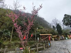 -云山屯古建筑群景区