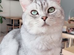 -平行世界·猫咖(首经贸店)