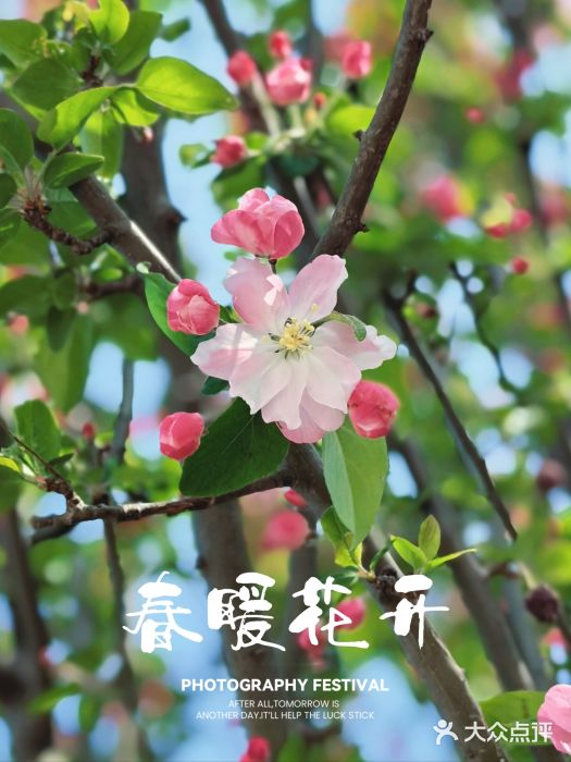 坝河休闲公园图片