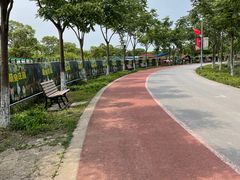 -上海长兴岛郊野公园