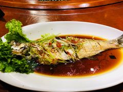 -海拉尔蒙古包(房山长阳总店)