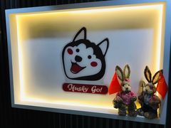 -Husky Go! 哈士奇体验馆·宠物咖啡厅狗咖