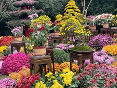 -杭州植物园