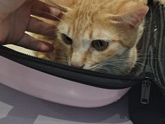 -拜鲁耶动物诊疗中心·宠家动物医院