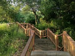 -上海市保健医疗中心(华东疗养院)
