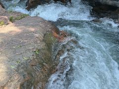 -广州白江湖森林公园