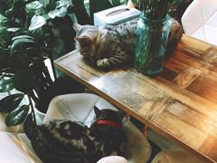 -小时光咖啡馆(北锣鼓巷店)