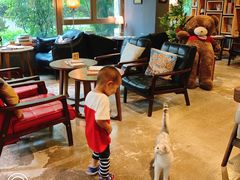 -咖法森林·咖啡  酒吧(天河店)