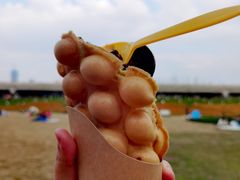 -秀丽东方