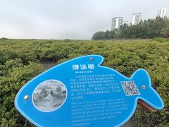 -北海金海湾红树林生态旅游区