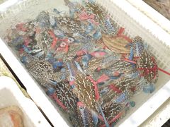 -外伶仃岛海鲜市场