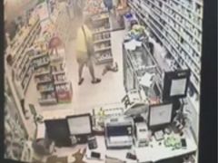 盛京一禾-盛京一禾